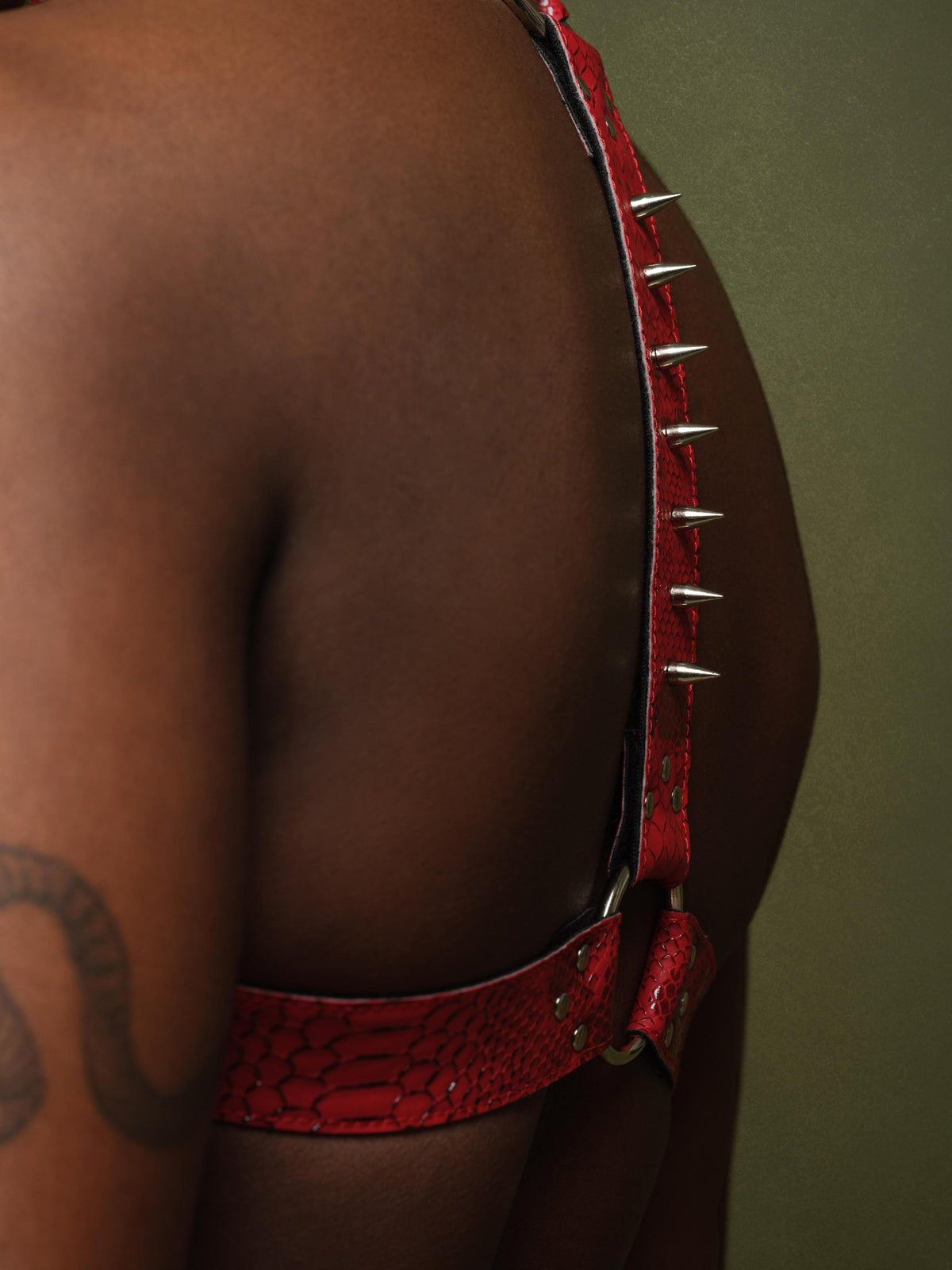 Spike Spine Harness