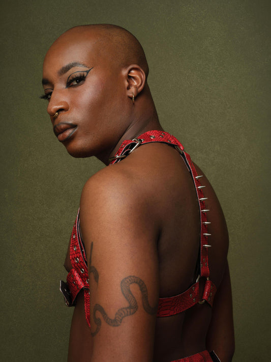 Spike Spine Harness