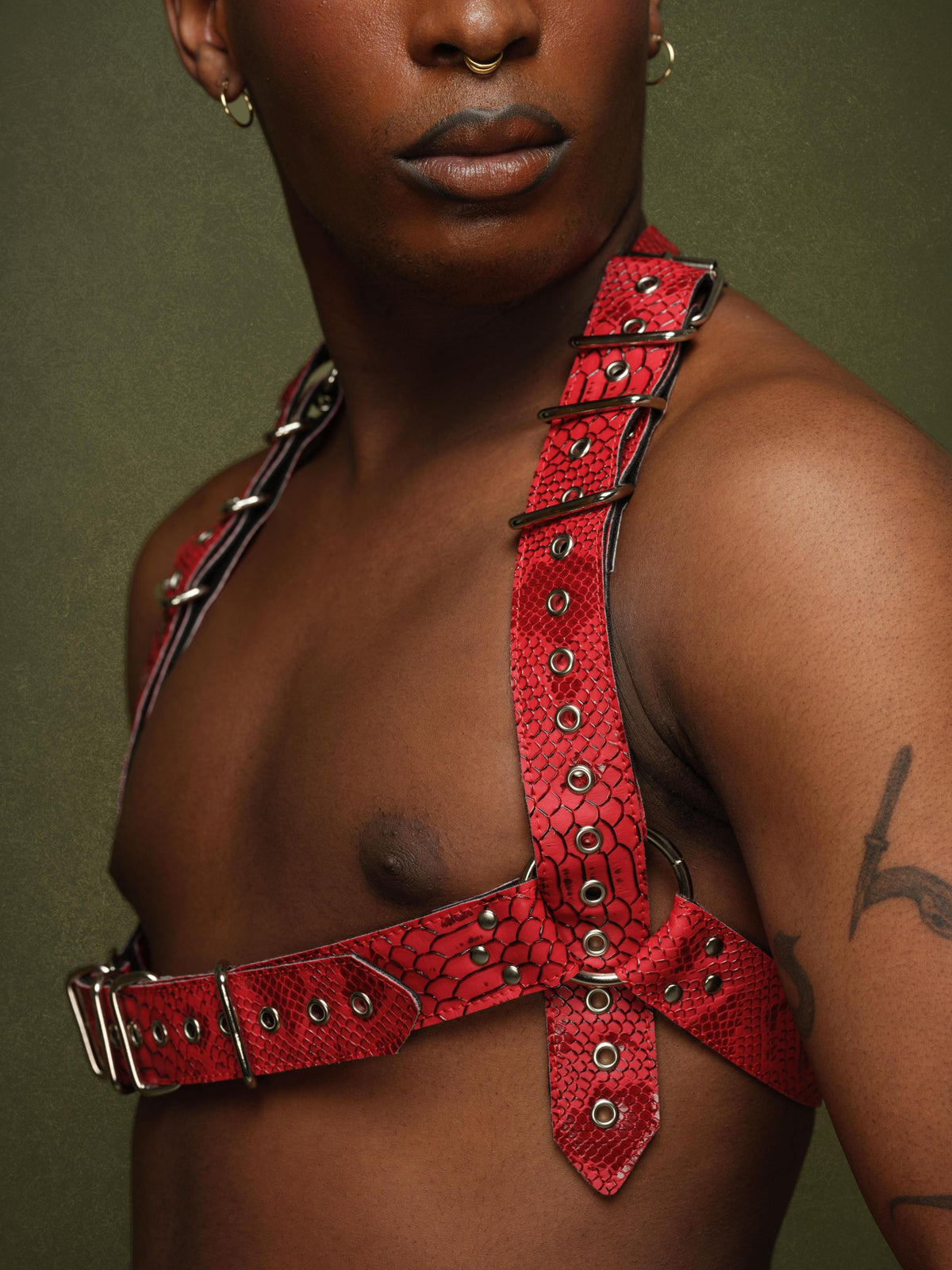 Spike Spine Harness