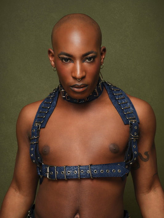 Shoulder Loop Harness