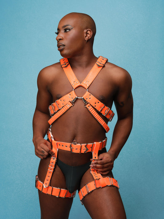 'X' Harness
