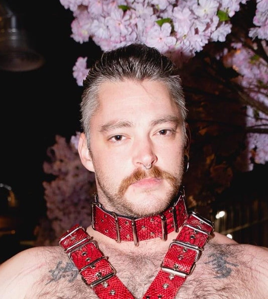 Wide Loop Collar